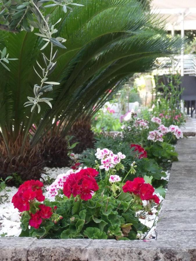 Hotel Timoleon Limenas  Luaran gambar